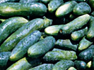 cucumbers