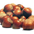 hazelnuts