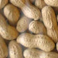 peanuts