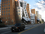 Another View of the Stata Center