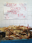 Dungeness crab