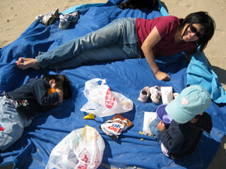 wind at the beach