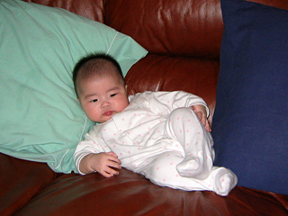 eleanor lounging on the sofa