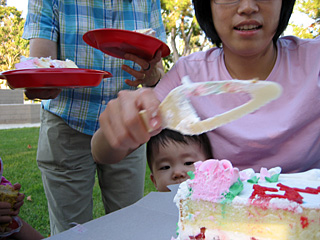 cutting the cake