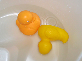 floating rubber duckies