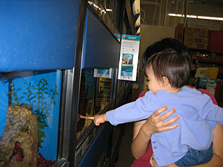eleanor at the fish tank