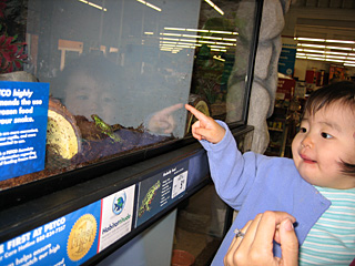 eleanor with the toad