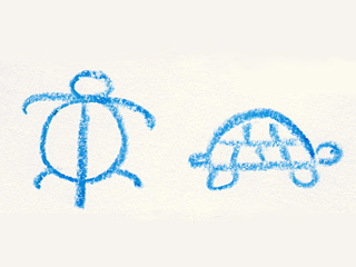 turtles turtles