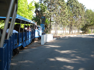 the train at the zoo
