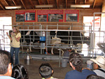 Milking Demonstration