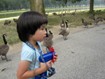 Spray Bottle and Geese
