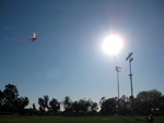 Erin Flying the Kite