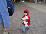 Seal Stuffed Animal