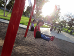 Swings at the Park