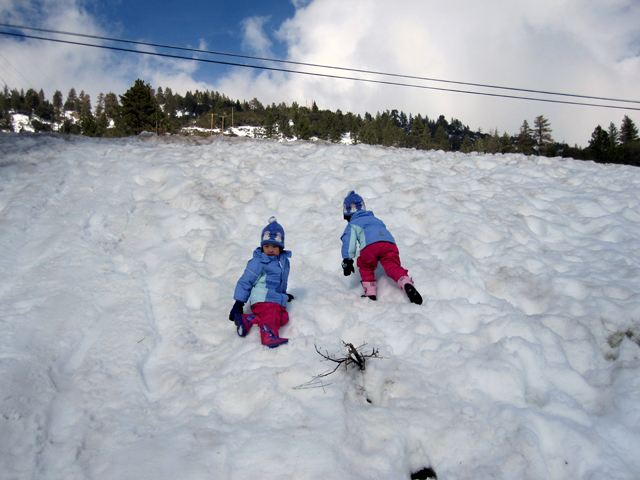 Climbing Snow