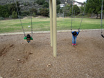 Hanging on Swings