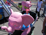 Miranda on the Elephant Ride