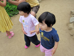 Butterfly Exhibit