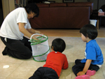 Attaching the Chrysalides to the Net