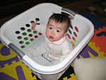 Miranda in the Laundry Basket