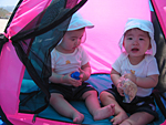 Popup Tent