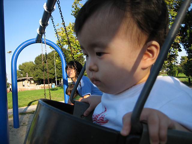 On the Swings