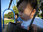 On the Swings