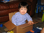 Miranda in a Box