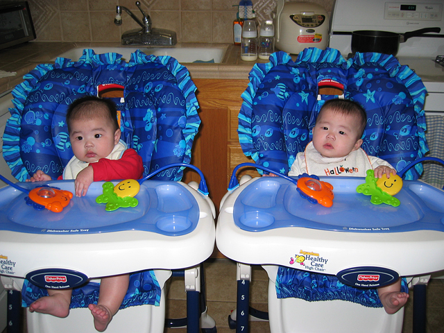 Dual High Chairs