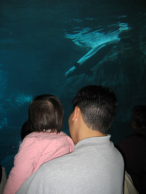 Eleanor Seeing Beluga