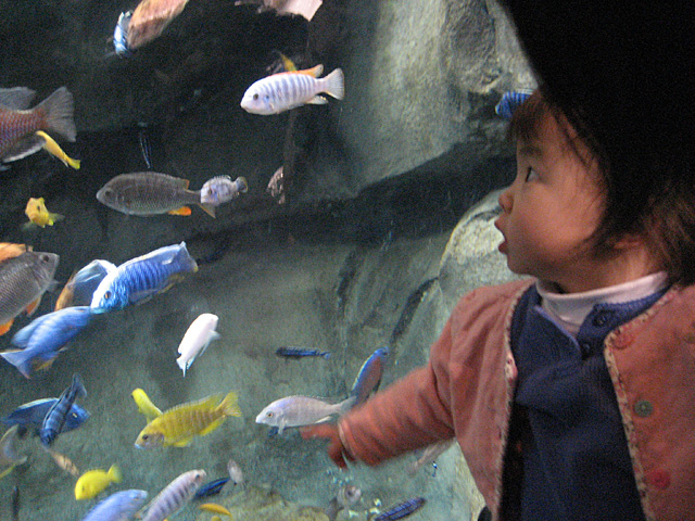 Eleanor with Tropical Fish