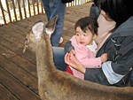 Miranda with a Deer