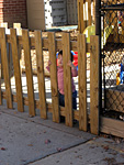 Miranda at the Fence