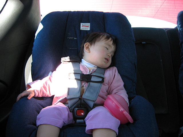 Miranda Sleeping in the Car