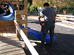 Eleanor Walking Up the Slide