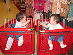 Both in Shopping Carts