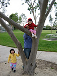 Miranda in a Tree