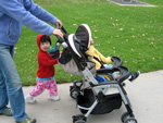 Pushing the Stroller at the Park