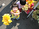 Flower at the Farmer's Market
