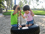 Tire Swing