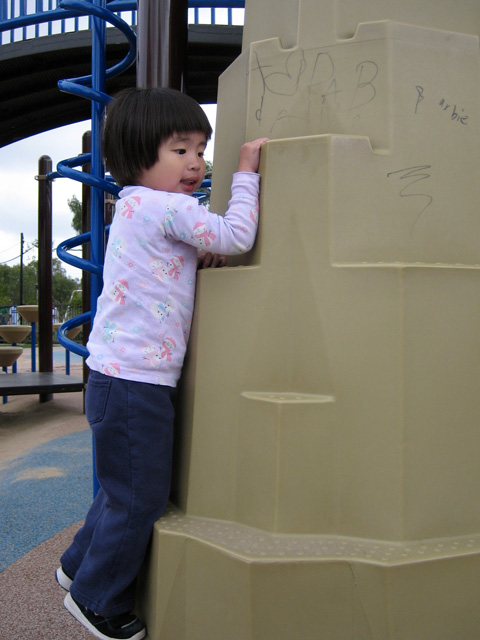 Eleanor Climbing the Playground Structure