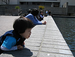 Miranda at the Fountain