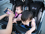 In the Stroller