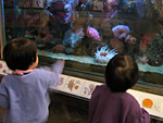 Cabrillo Aquarium