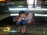 Inside a Fish Tank