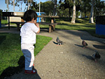 Miranda Playing with Pigeons
