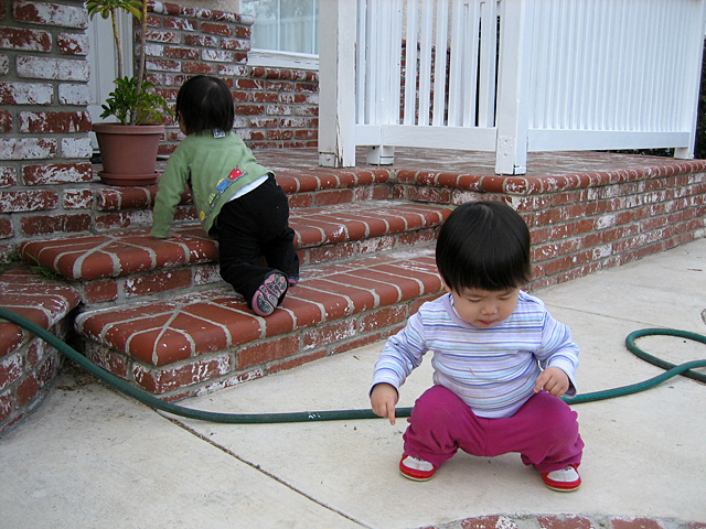 Playing on the Porch