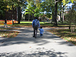 Walking through Harvard Yard