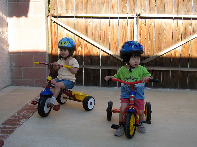 Both on Their Tricycles