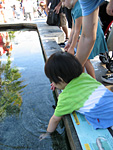 Miranda at the Touch Tank